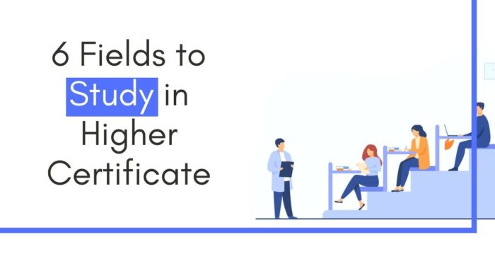 6 Fields to Study in Higher Certificate
