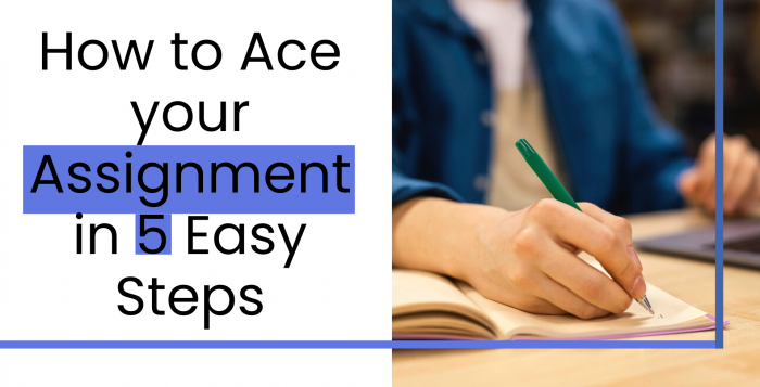 How to Ace your Assignment in 5 Easy Steps