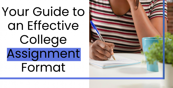 Your Guide to an Effective College Assignment Format