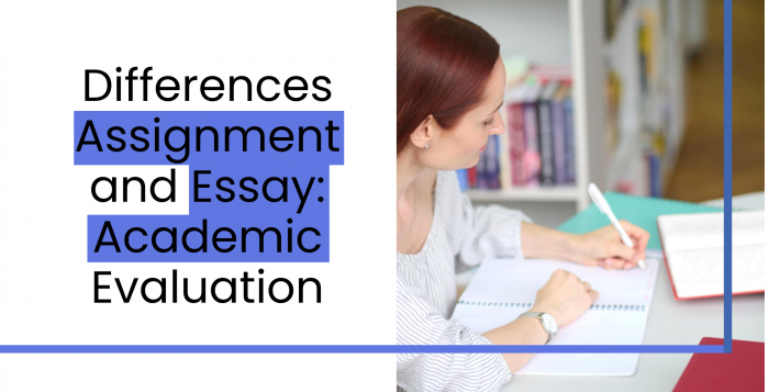 Differences Assignment and Essay Academic Evaluation