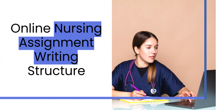 Online Nursing Assignment Writing Structure